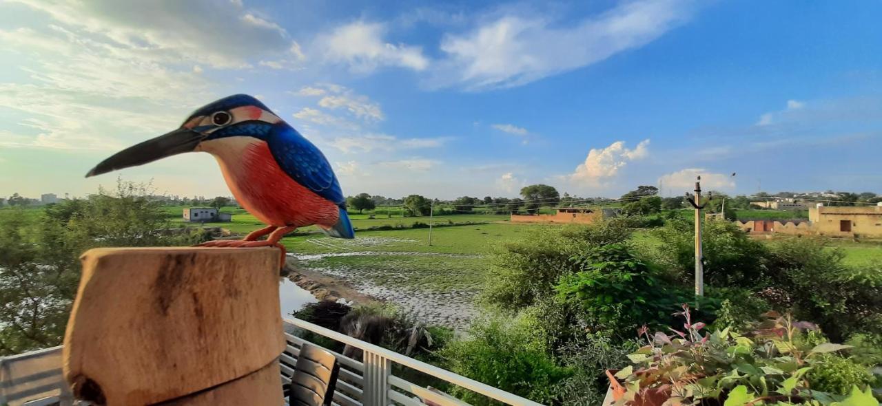 Ibishouse Farm Stay Bharatpur Eksteriør billede