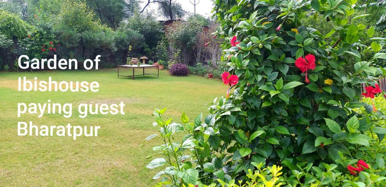 Ibishouse Farm Stay Bharatpur Eksteriør billede