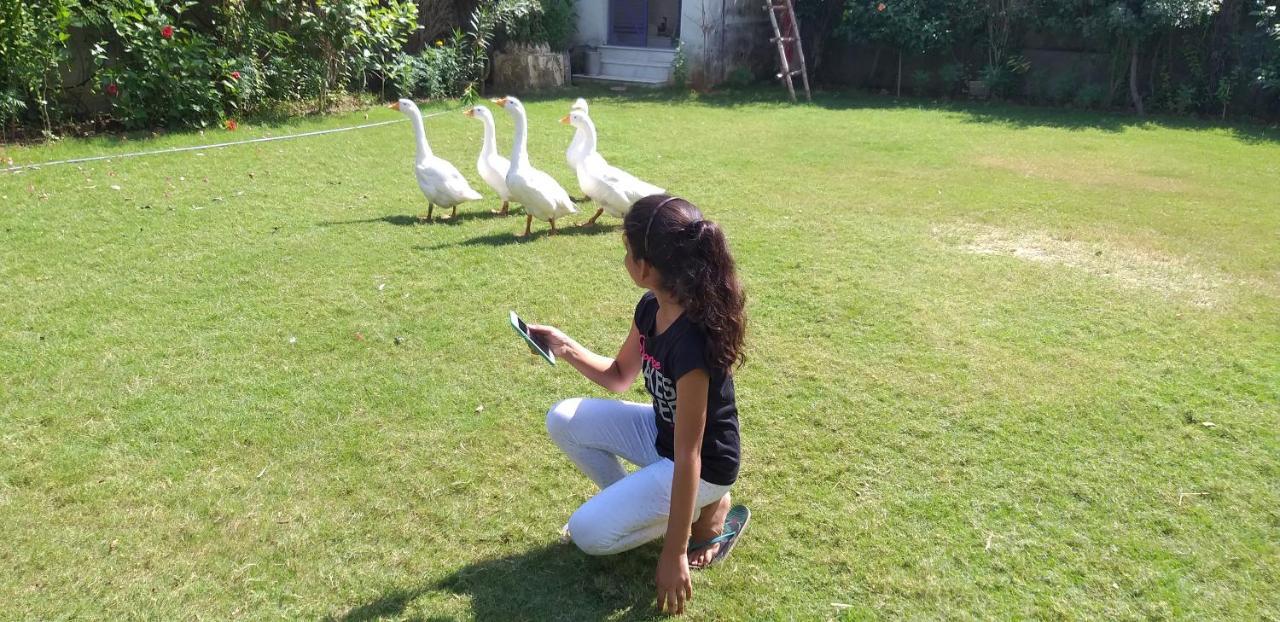Ibishouse Farm Stay Bharatpur Eksteriør billede